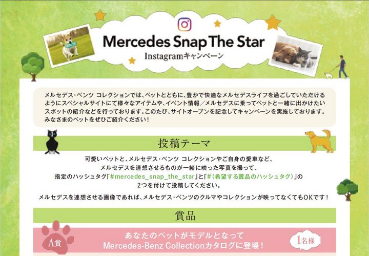 Mercecdes Snap The Star ＊Instagram