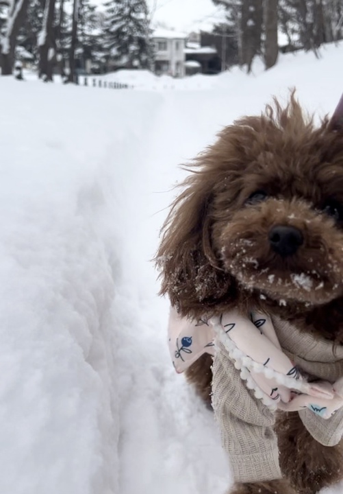 ⛄️冬⛄️