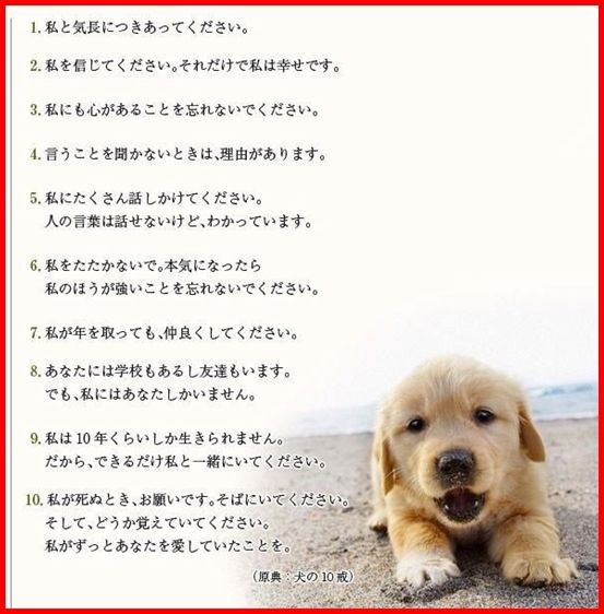 ハナちゃん💓