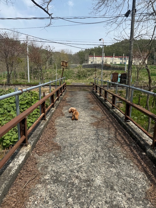 休みの思い出