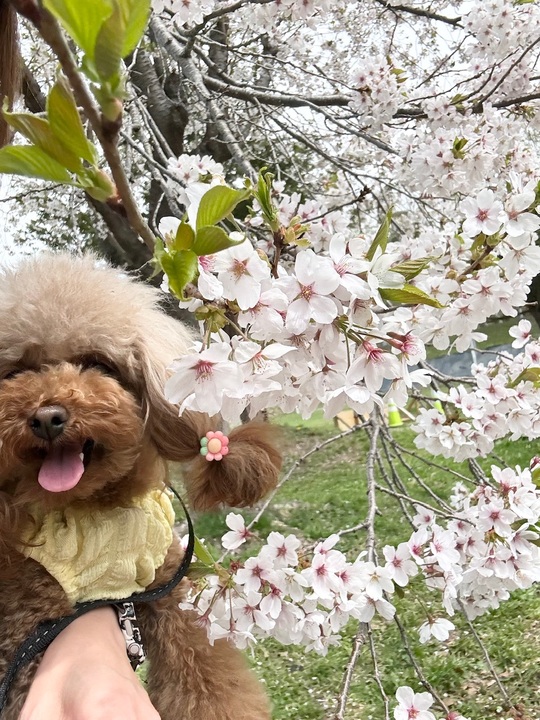 休みの思い出