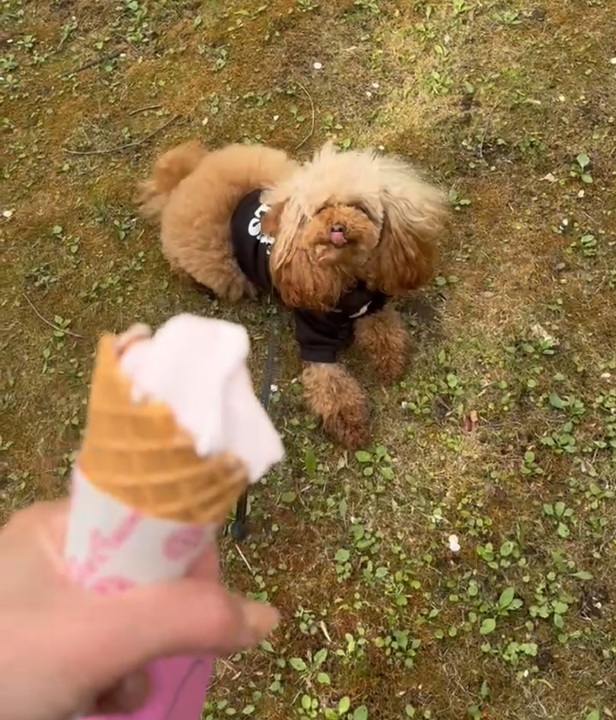 休みの思い出