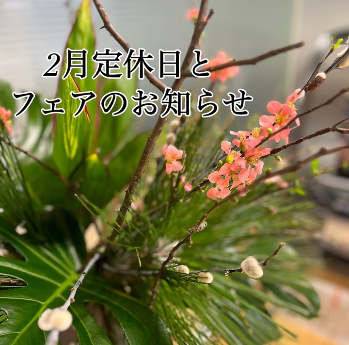 2月定休日とフェアのお知らせ📢