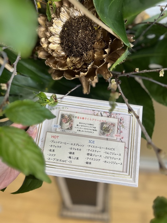 さくらさくらさくら🌸