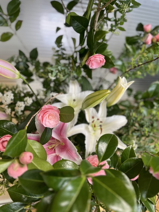 今月の装花🌸