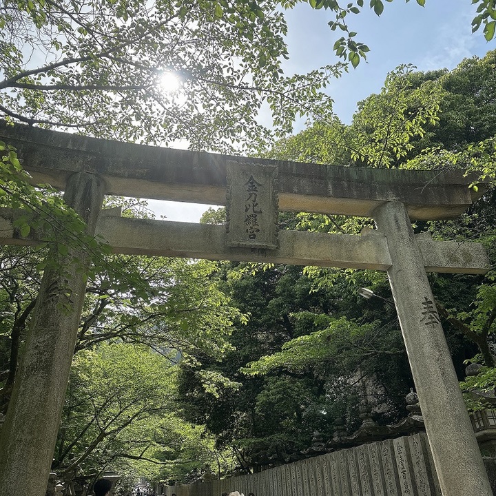 はじめましてとGW