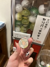 山菜の季節