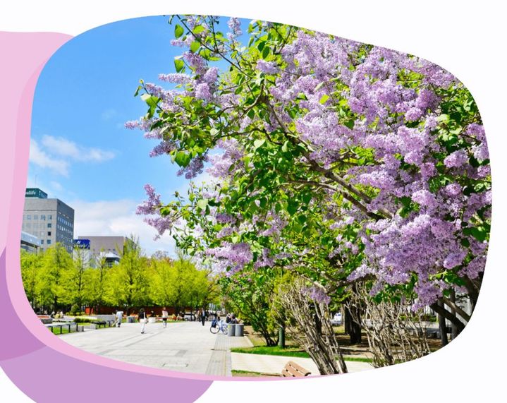 6月定休日とフェアのお知らせ📢