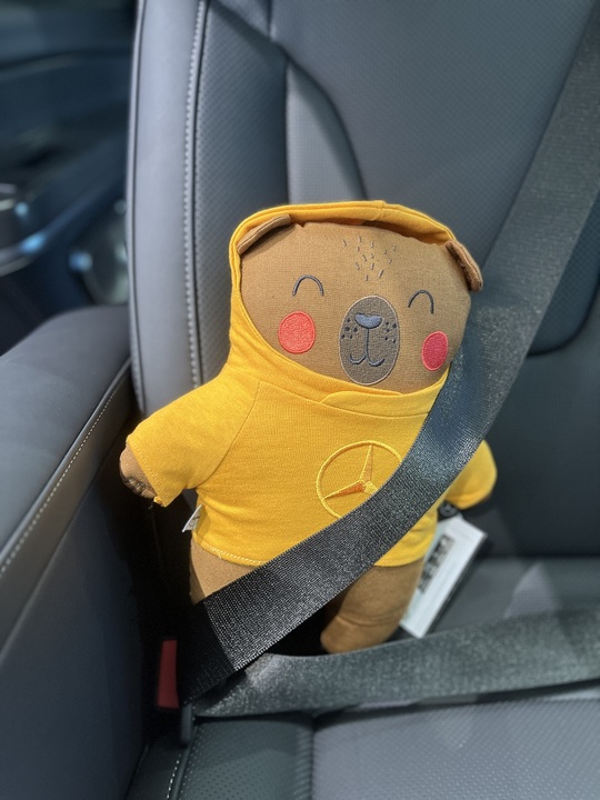 コレクション紹介🧸