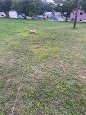 なとぅやすみのおもひで🌞