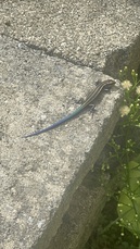 なとぅやすみのおもひで🌞