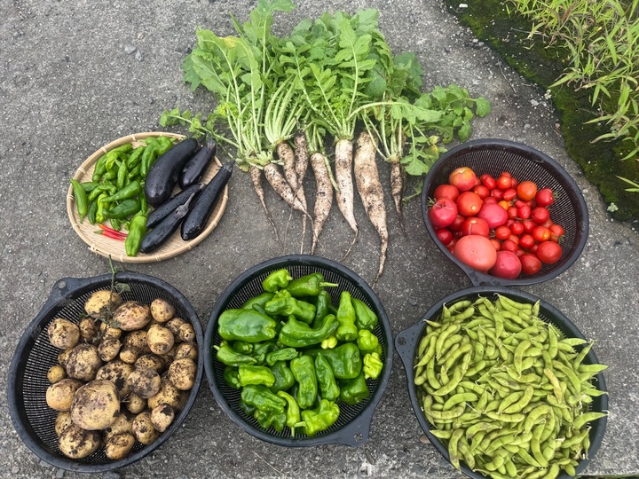 🍅やさいの(831)の日🍅