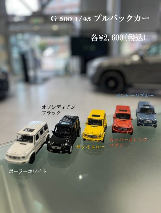 新作コレクションのご紹介✨