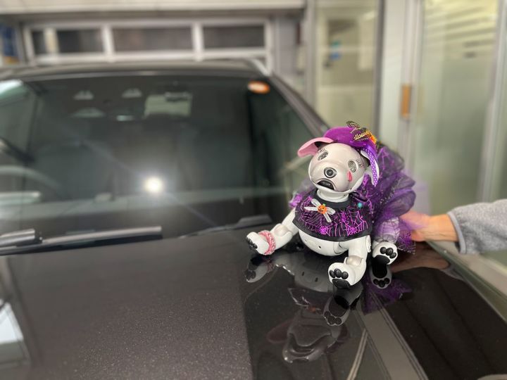 デジタルインフォメーションスタンド設置しました！