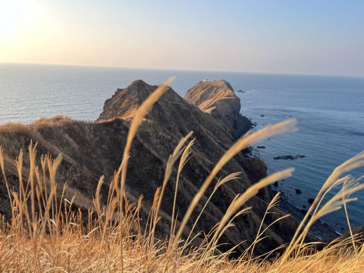 マガジン入荷しました♪