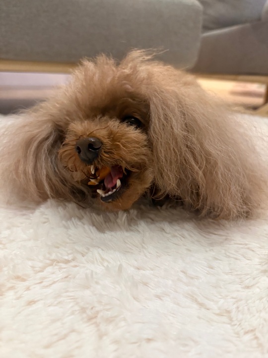 今日から３月です🌸