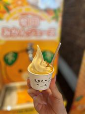 さくらんぼたらこみきゃん
