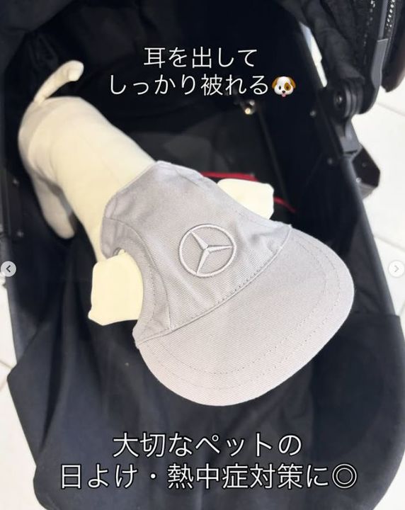 《NEW》Mercedes-Benz Collection
