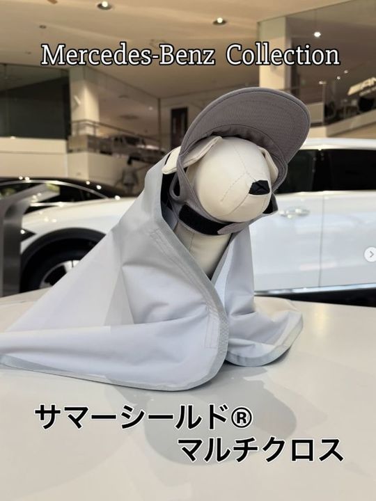 《NEW》Mercedes-Benz Collection