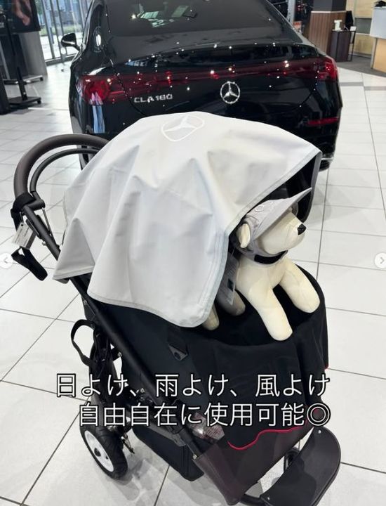 《NEW》Mercedes-Benz Collection