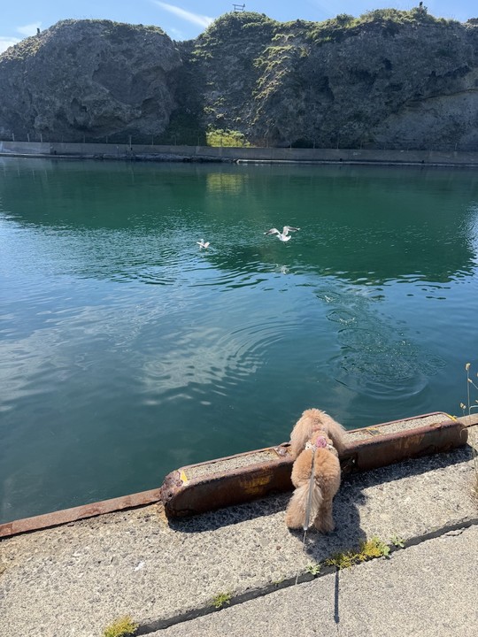 夏でぇむん🌞