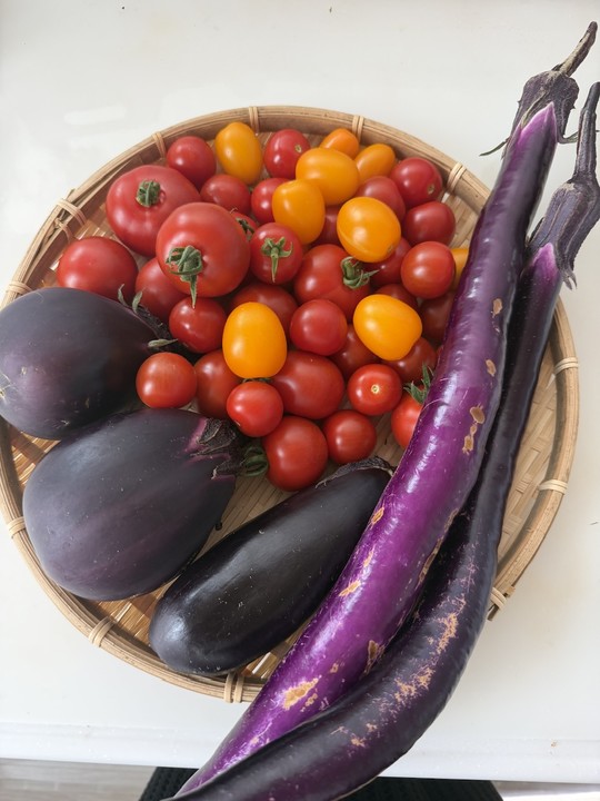 🍅やさいの(831)の日🍅