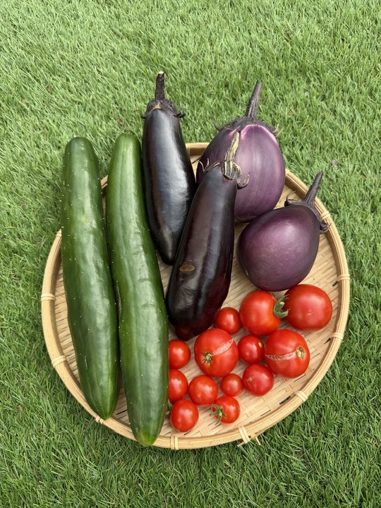 🍅やさいの(831)の日🍅