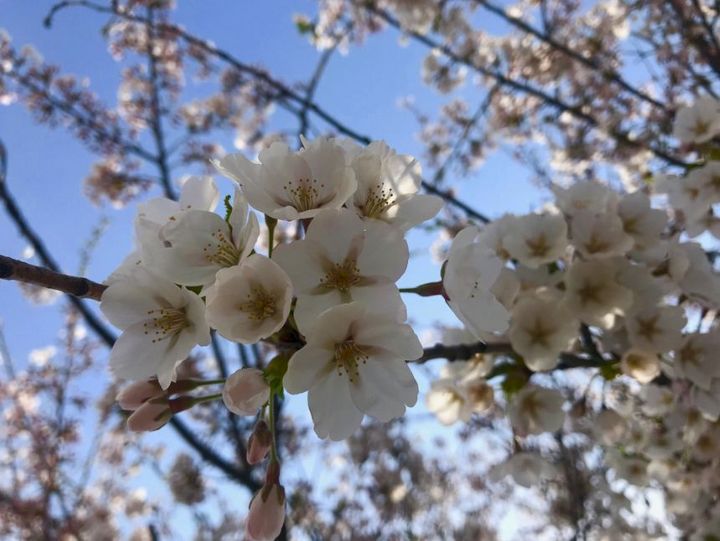 明日より休業です