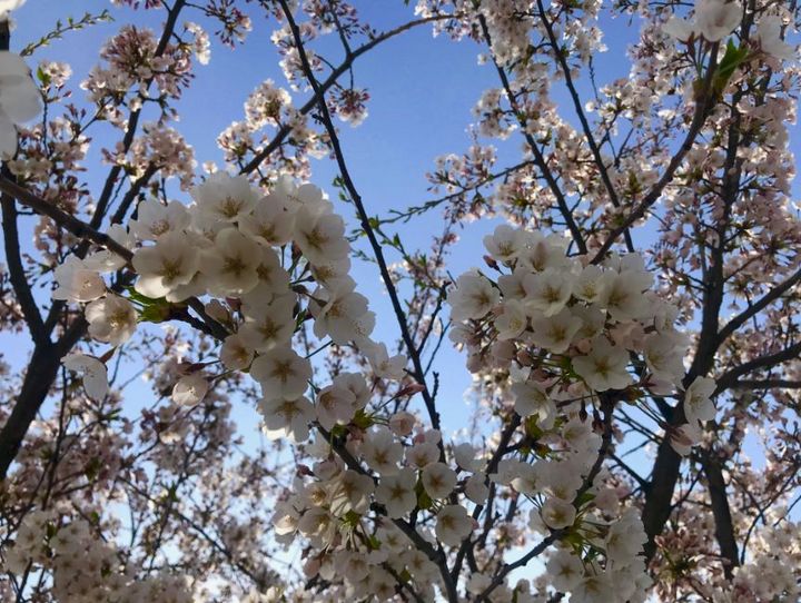 明日より休業です