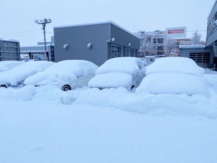 雪かき三昧⛄