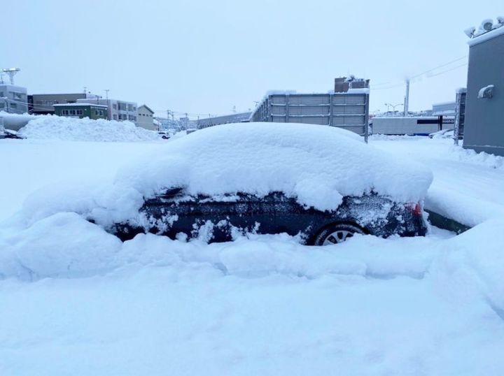 雪かき三昧⛄