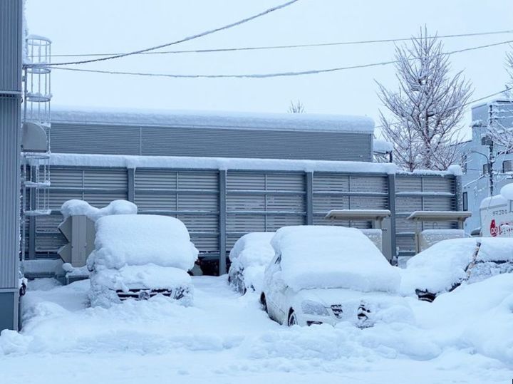 雪かき三昧⛄